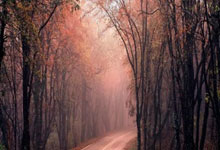 拉齐奥遭遇帕尔玛逆转，遗憾失利