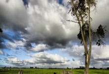 天津天海实力坚挺，决胜时刻展现出色表现