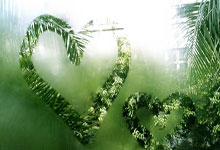 比赛中球员技术展示精湛，打破既定规则