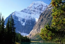 葡萄牙集体发威，轻取对手