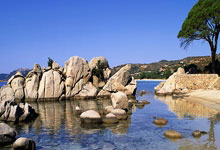 切尔西主帅再次下课，队内动荡影响赛季战绩